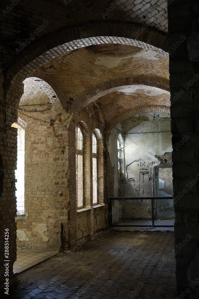 Ruine Ruine