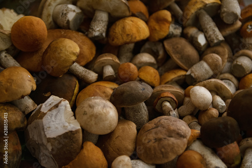 bunch of harvested forest edible mushrooms with orange, brown caps and white legs of different sizes lie on the table