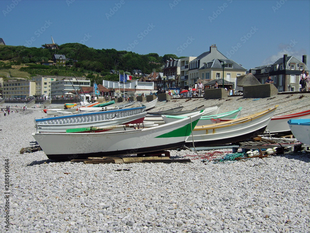 Fototapeta premium Les falaises d'Etretat