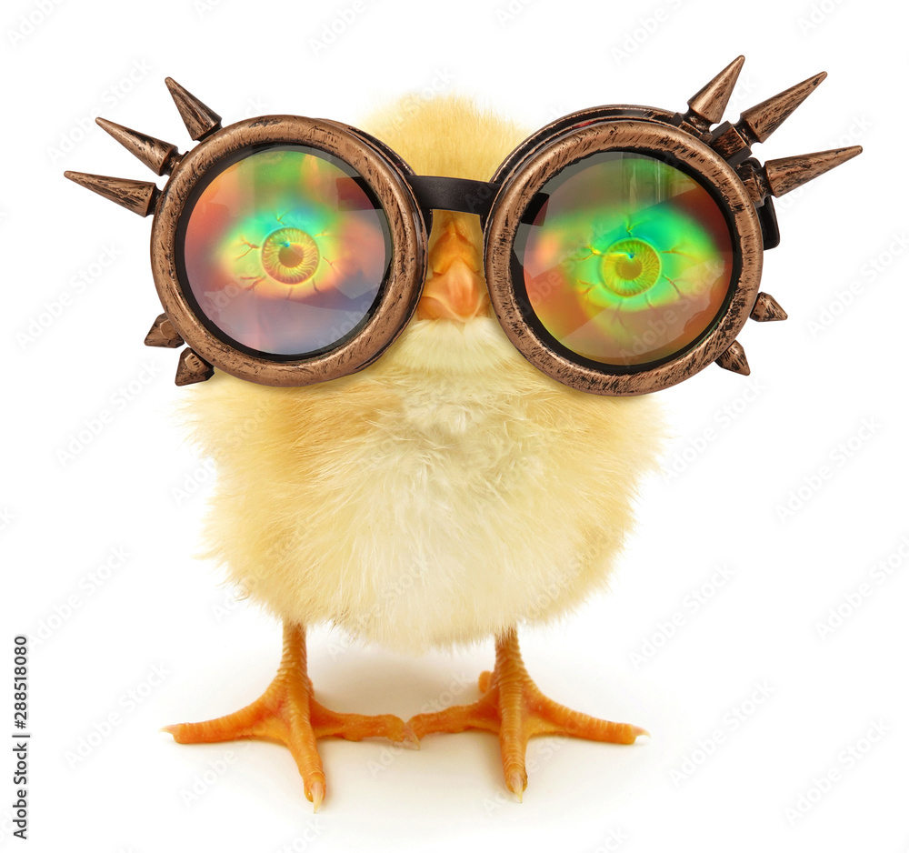 Crazy chick funny with steam punk sunglasses Stock Photo | Adobe Stock