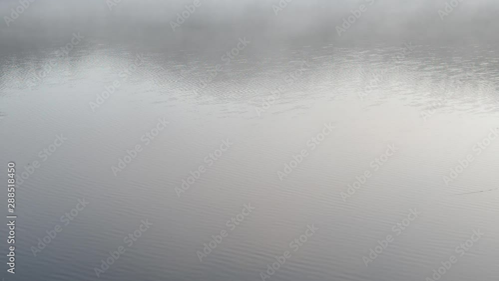 Mist hovering on a lake in the morning and raindrops falling on the surface in Isojarvi National park in Finland, on July 2015. Mist hovering on a lake in the morning and raindrops falling on the surface in Isojarvi National park in Finland, on July 2015.
