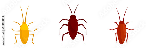 Cockroach icons set. Flat set of cockroach vector icons for web design