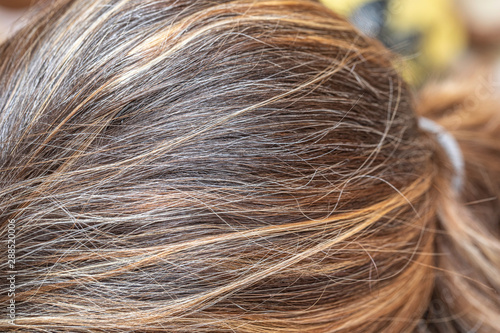 A close up view on the brunette hair of a young girl, with highlighted shades of browns and blondes, unkempt and windswept with room for copy.