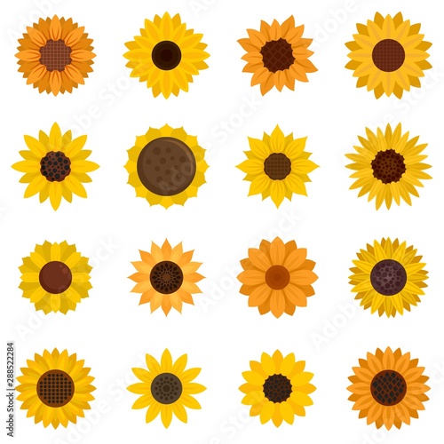 Sunflower icons set. Flat set of sunflower vector icons for web design