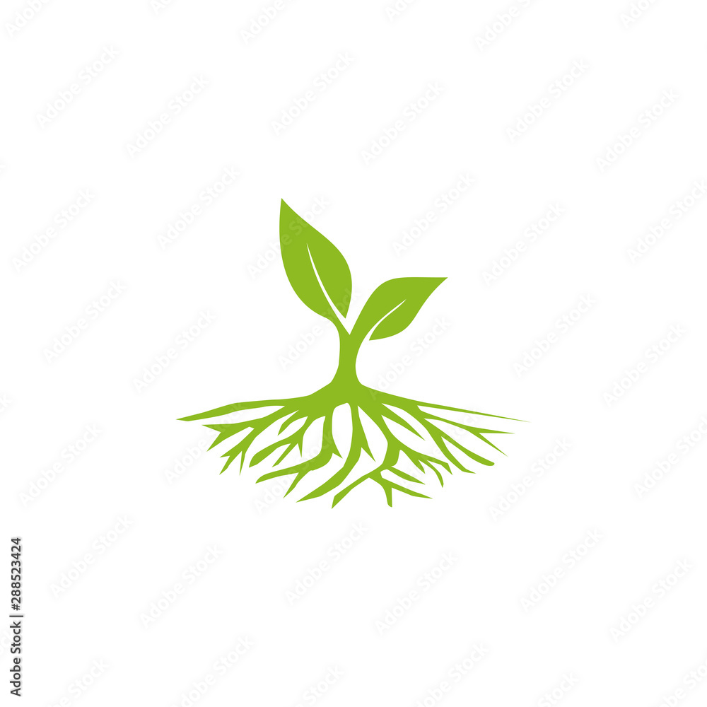 Root tree logo design vector template Root tree logo design vector template