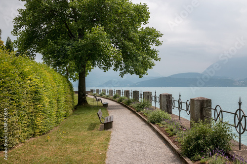 A walk in the park, around flowers, green trees and lake Thun