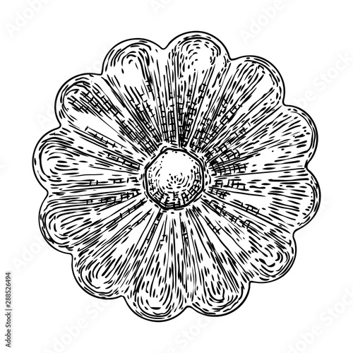 Circular round floral mandala like vintage decorative Baroque ornament elements. Drawing marble stone for fashion scarf, print, fabric design. Vector. photo