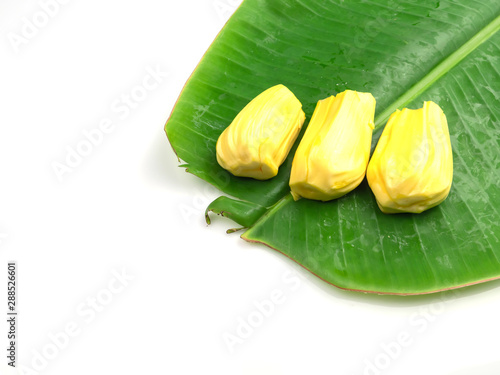 Yellow jackfruit  on banana leaf  isolated on white background
