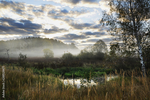 wondrous autumn morning. sun and fog.
