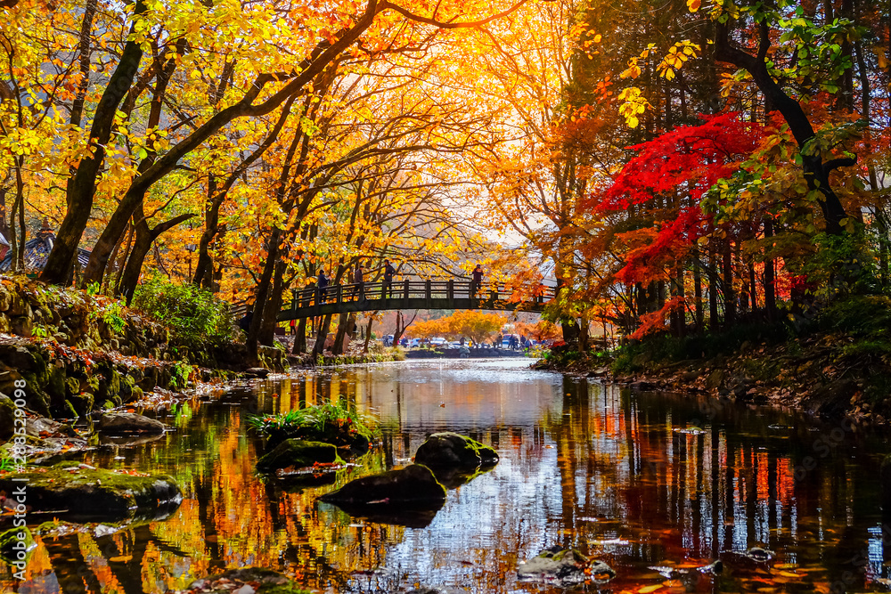 Colorful Autumn in South Korea.