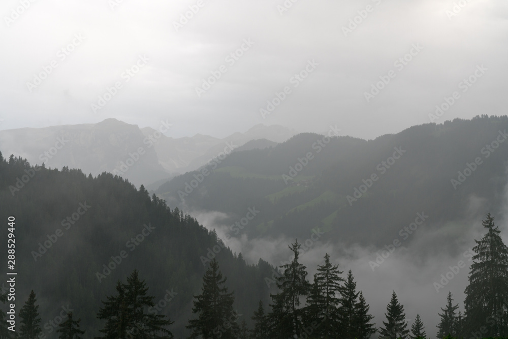 green and gray mountain landscape with forest and thick fog in the valleys