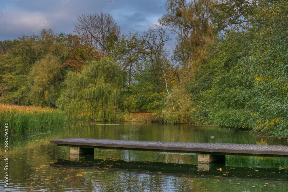 autumn colorful landscape with empty bridge on the pond, sunny autumn day without people, reflections of trees in the lake surface autumn colorful landscape with empty bridge on the pond, sunny autumn day without people, reflections of trees in the lake surface