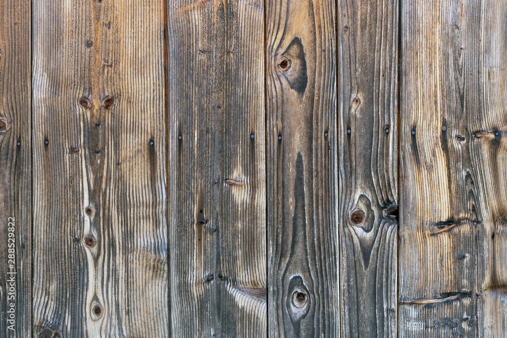Obraz premium The old wood texture with natural patterns