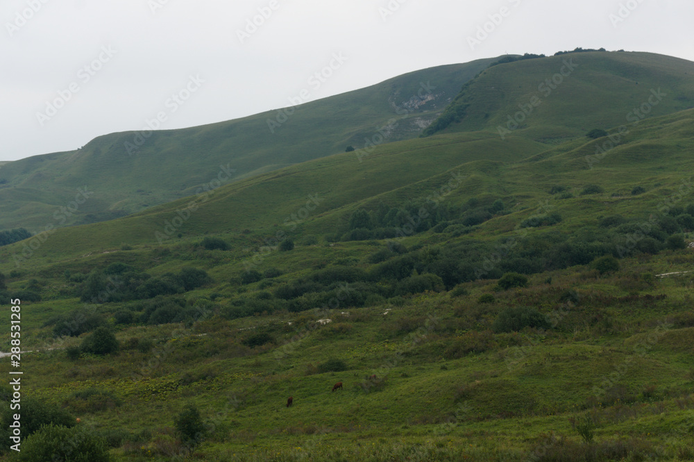 Green lawn grass hill landscape in the caucasus mountains near kislowodsk