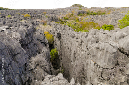 The Tsingy of Ankarana, northern Madagascar photo