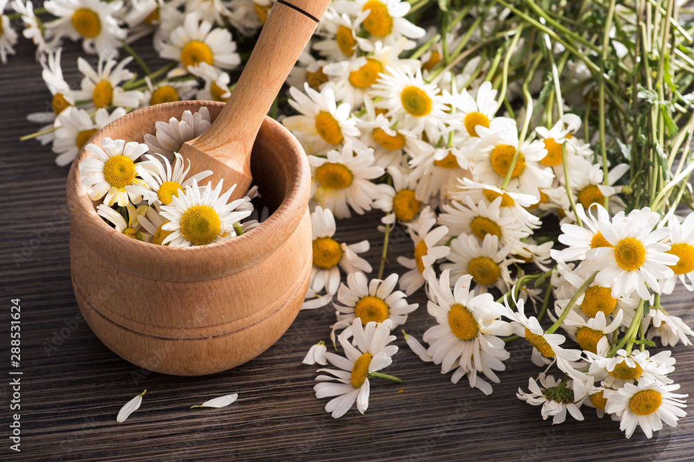Preparation for whistling essential chamomile oil Preparation for whistling essential chamomile oil