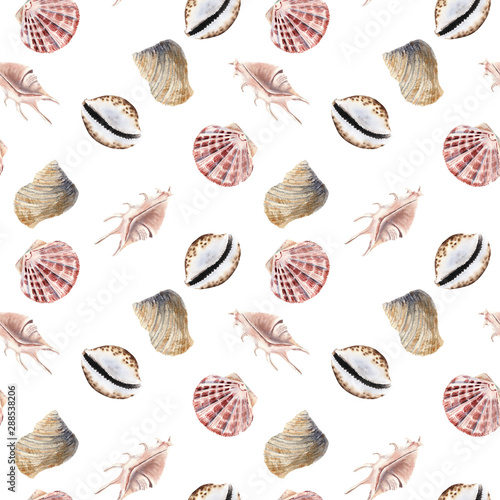Hand drawn watercolor sea shells seamless pattern