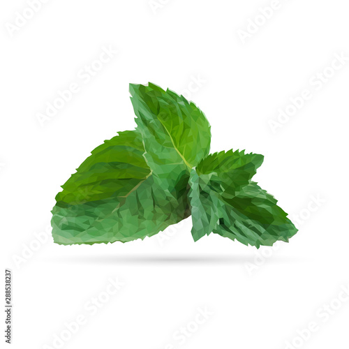 Green mint in polygonal style. Low poly fresh food. Elements for label design. Ingredients in triangulation technique. Vector illustration.