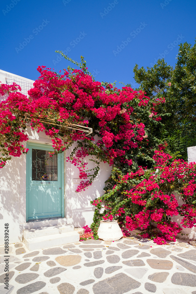 Paros - Kykladen - Parikia - Häuserfassade mit Blumen