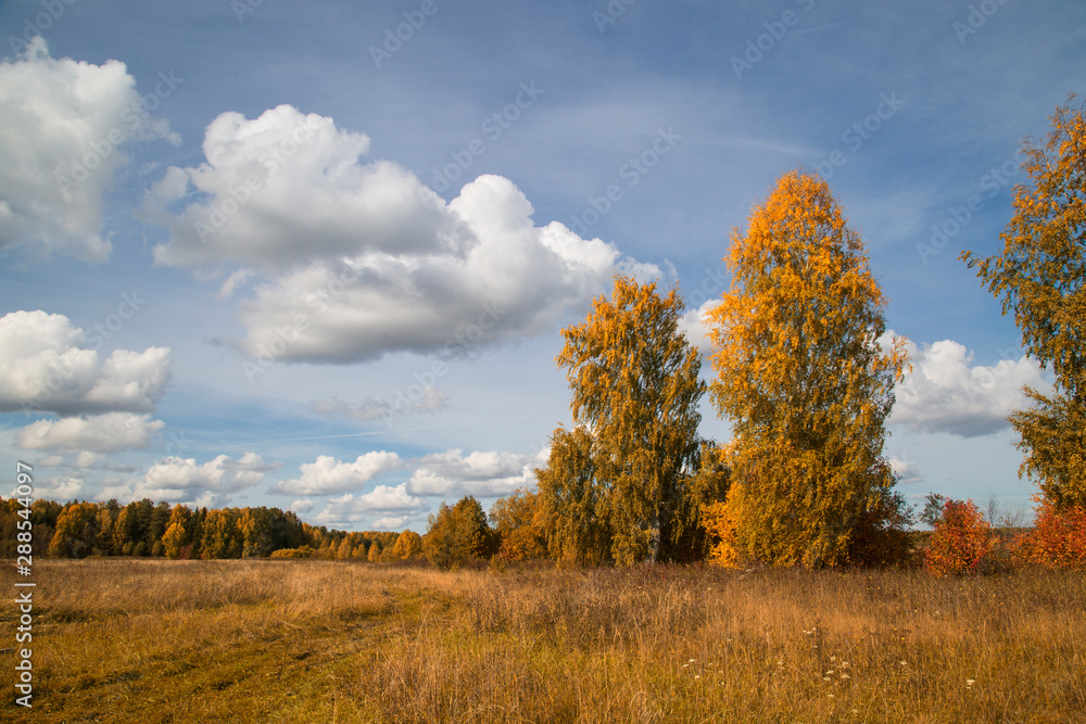 Fototapeta premium Beautiful autumn Sunny landscape with clouds.