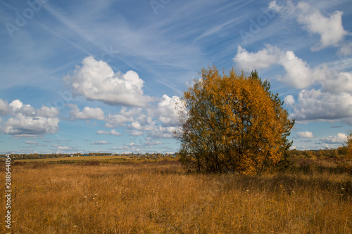 Beautiful autumn Sunny landscape with clouds.