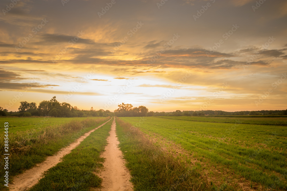 Rural road through a green field, clouds on the sky during sunset