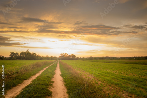 Rural road through a green field  clouds on the sky during sunset
