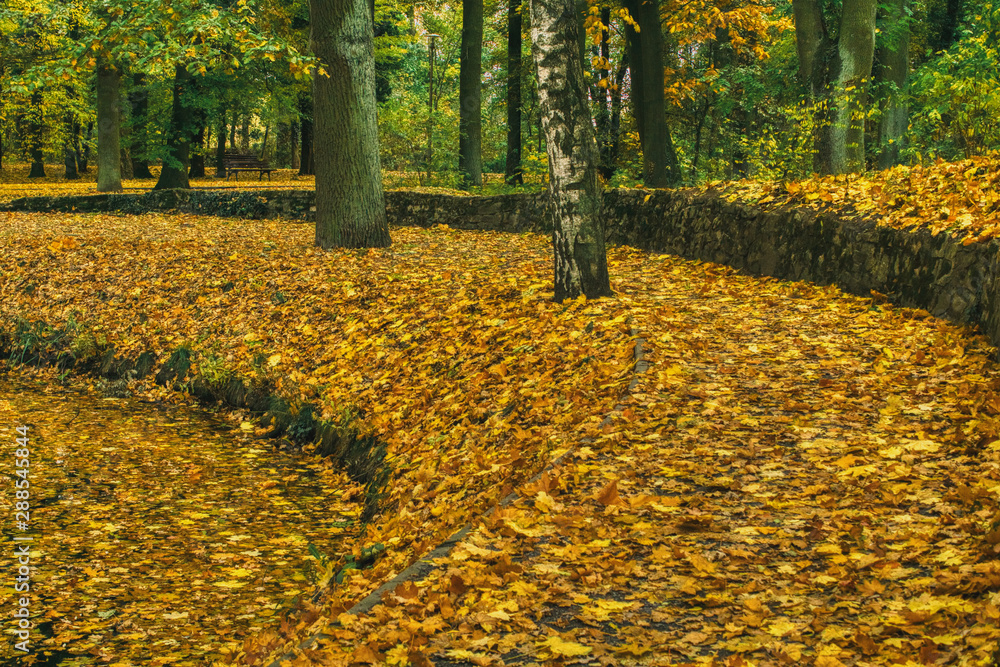 calm autumn landscape in the park, golden autumn, fallen leaves covered the path and water in the pond,