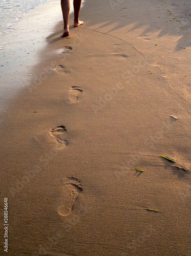 Barefooted female legs, walking along the strip of the sea on the sunset. photo