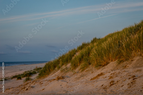 Sandy dunes at the beach