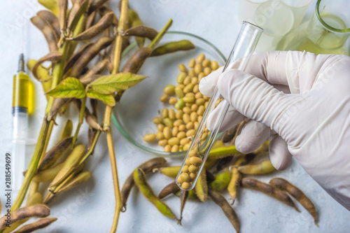 Scientist doing chemical analysis of soybean. Top view.