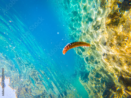 Sea warm in Adriatic sea, Croatia