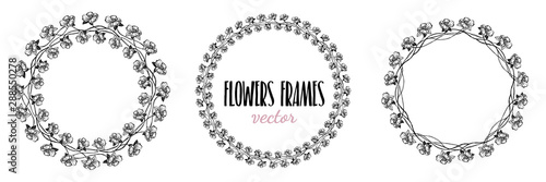 flowers frame circle , vector illistration hand drawn