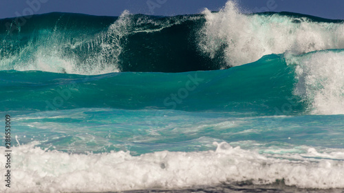 Tropical Waves