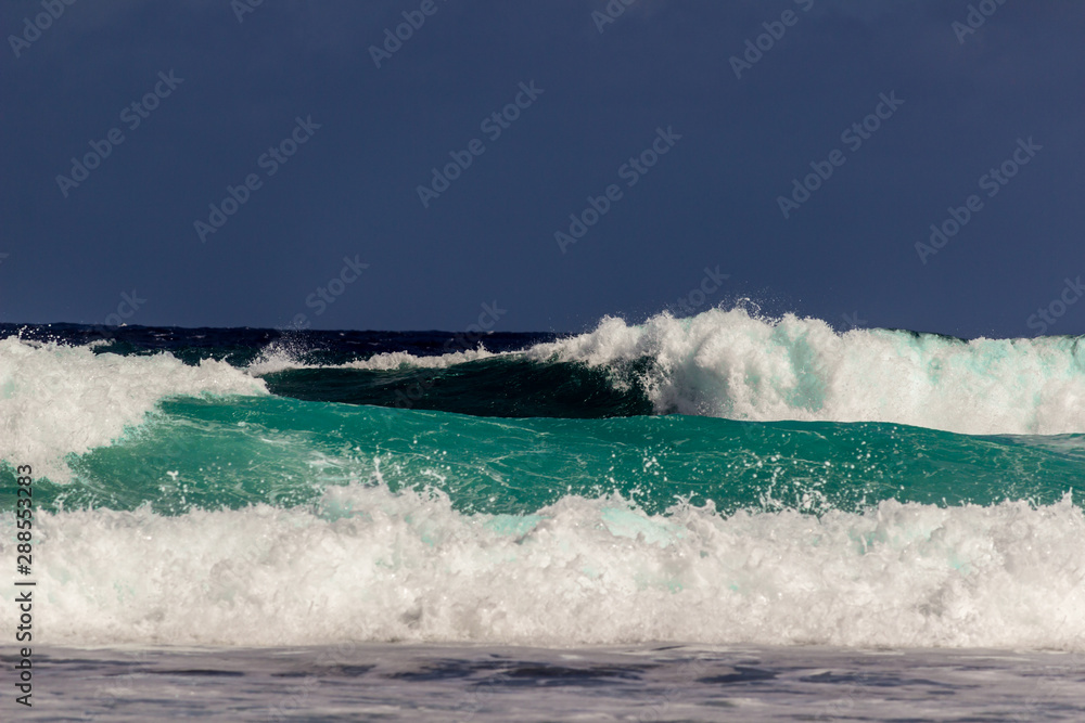 Fototapeta premium Tropical Waves