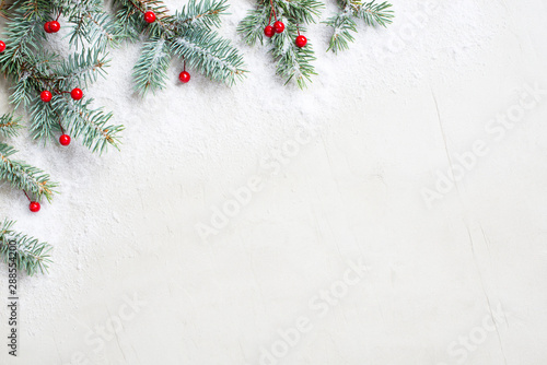 White Christmas background with Christmas tree branches and red berries