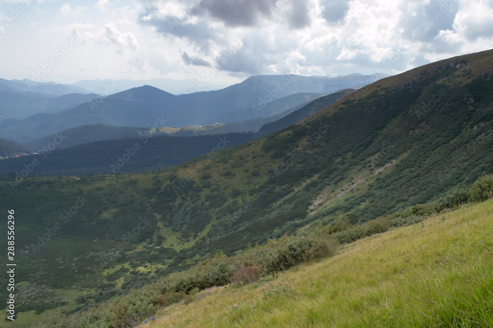 Fototapeta premium Panoramic view from Hoverla, Carpathian mountains, Ukraine. Horizontal outdoors shot