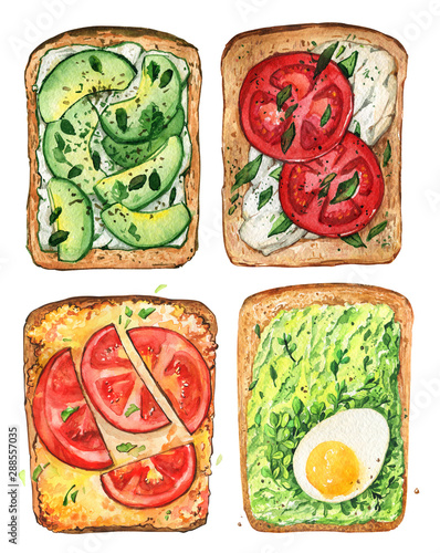 Sandwich vegetarian diet breakfast tomato avocado spices egg set watercolor photo