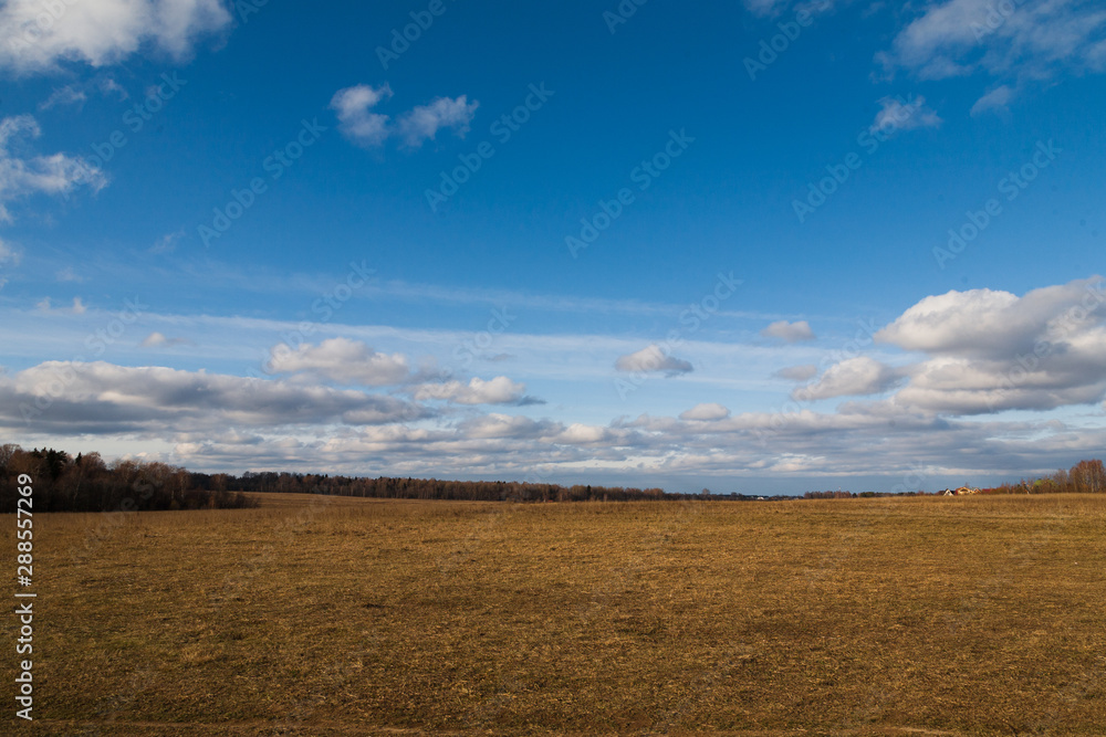 Field with dry grass and blue sky with clouds.