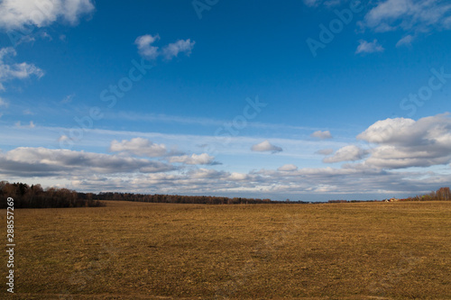 Field with dry grass and blue sky with clouds.