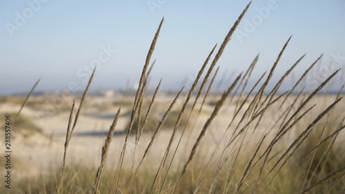 Los Lances Beach. Tarifa. Cadiz. Spain