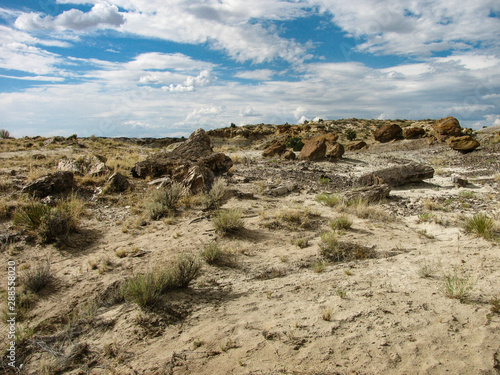 Some of the rocks in this scene in the De-Na-Zin Wilderness of New Mexico are actually chunks of petrified wood fossils.