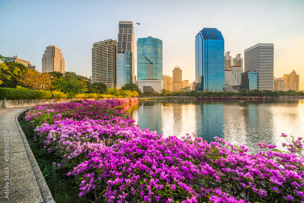 Lake with Purple Flowers in City Park under Skyscrapers at Sunrise Lake with Purple Flowers in City Park under Skyscrapers at Sunrise