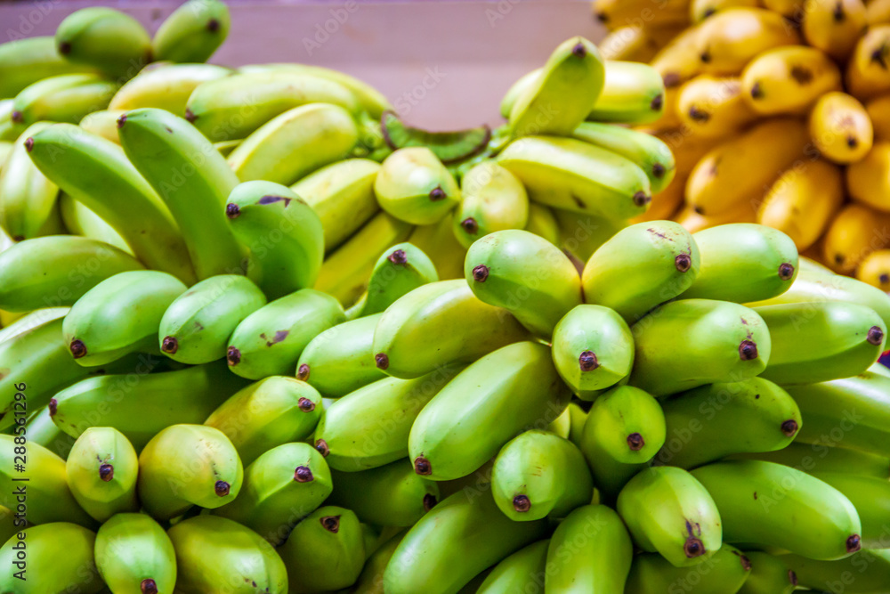 Quito, Ecuador - Green and Yellow Bananas at a Market in Quito