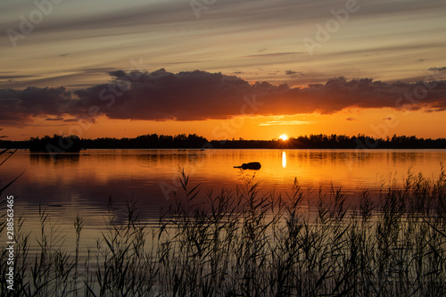 Fototapeta Naklejka Na Ścianę i Meble -  Sunset by a lake in Sweden