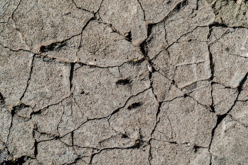 Cracked concrete wall. Cracks covered the surface of the wall. Various scratches, lines, scuffs. Concrete texture
