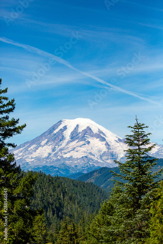 Mount Rainier National Park in the state of Washington in August  vertical