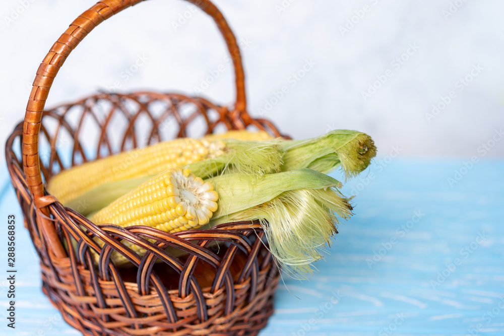 fresh raw corn cob in basket, blue wooden table, color background
