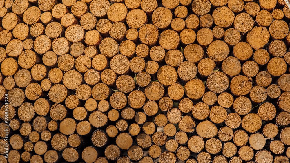 Cut wooden logs in layers. Background of arranged heap of fresh logs with clear cuts Cut wooden logs in layers. Background of arranged heap of fresh logs with clear cuts