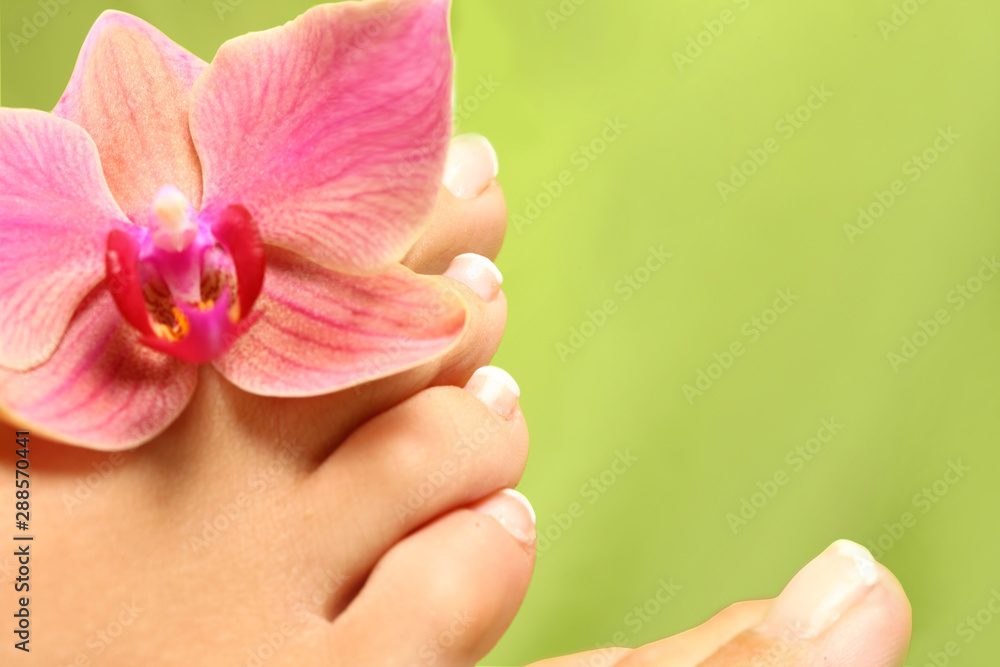 Naklejka premium wellness themes close up